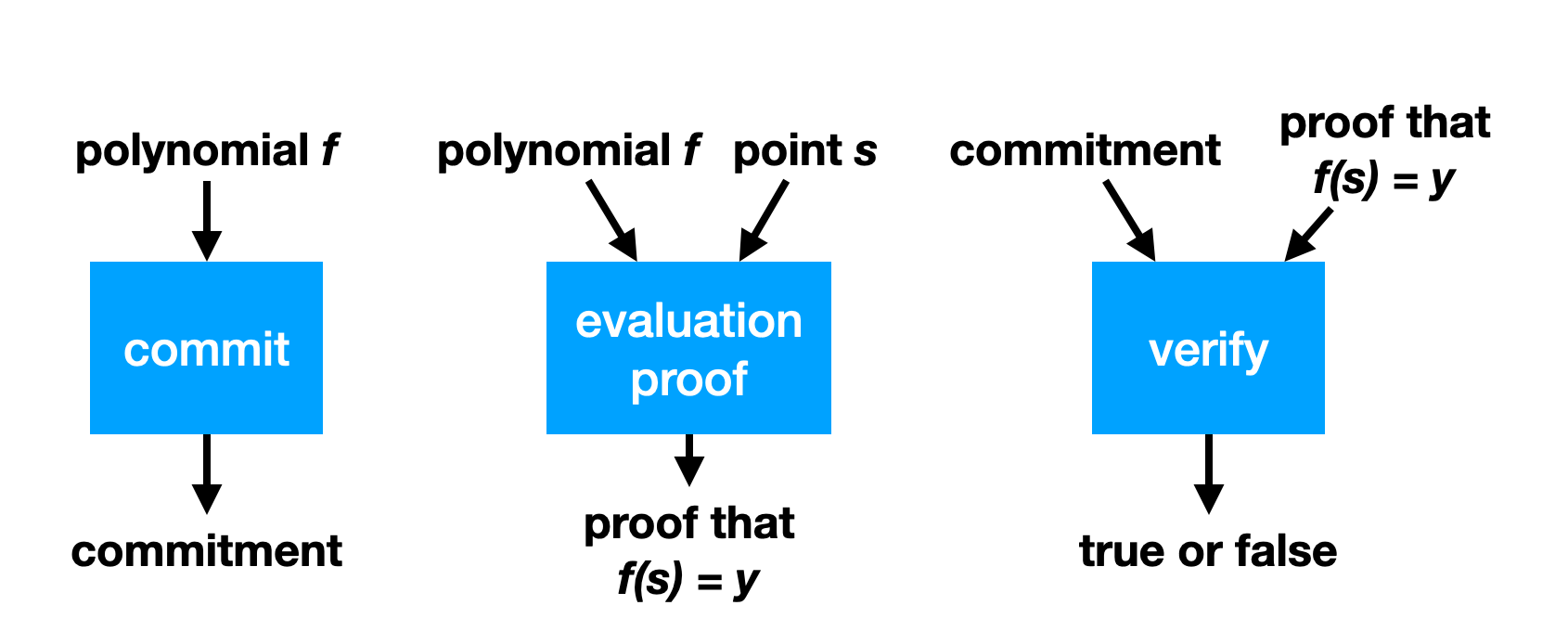 Polynomial commitments